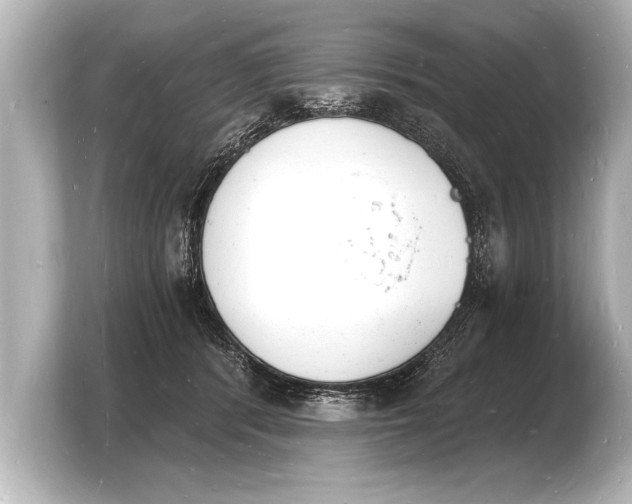 X0000103970416200810031228