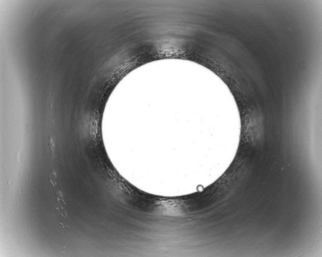 X0000103970417200810031228