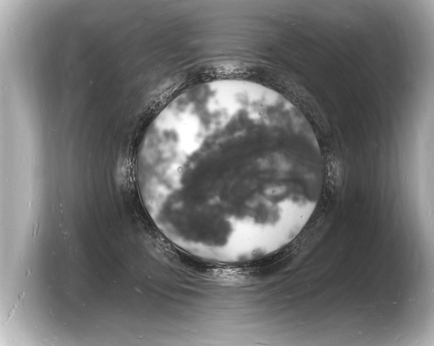 X0000103970419200810031228