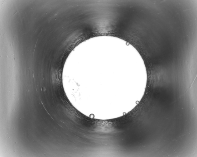 X0000103970421200810031228