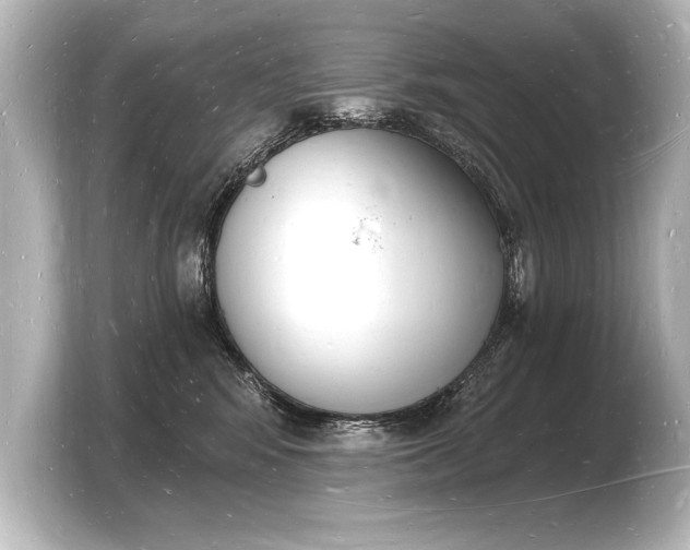 X0000103970424200810031228