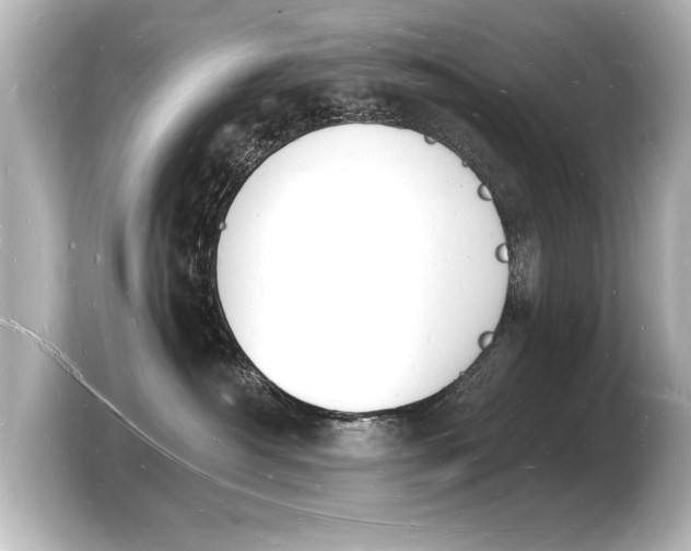 X0000103970430200810031228