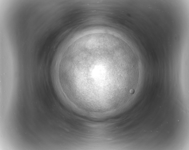 X0000103970431200810031228