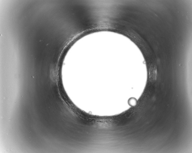 X0000103970436200810031227