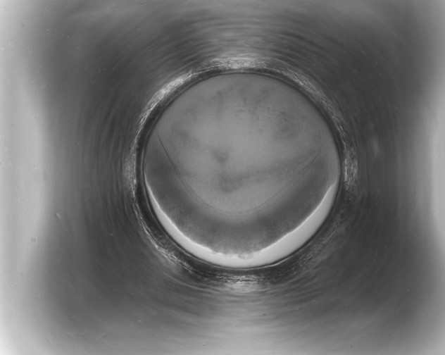 X0000103970438200810031227