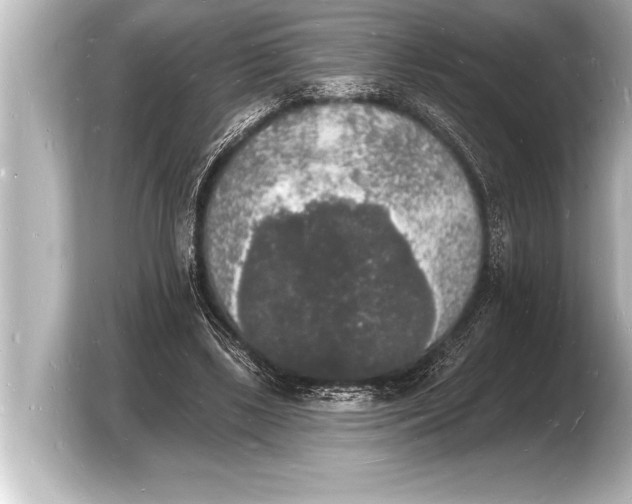 X0000103970443200810031227