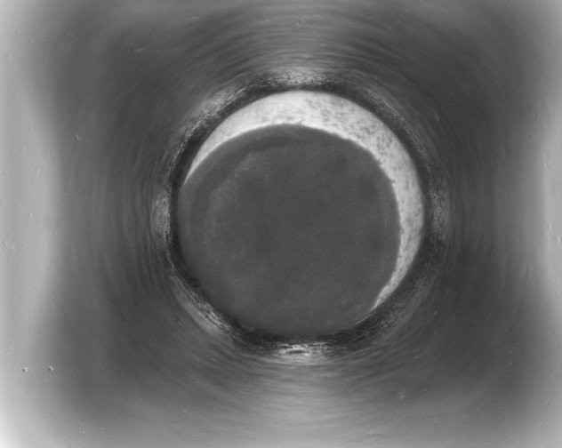 X0000103970447200810031227