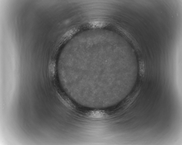 X0000103970451200810031227