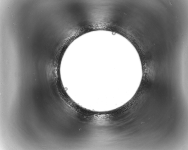 X0000103970452200810031227