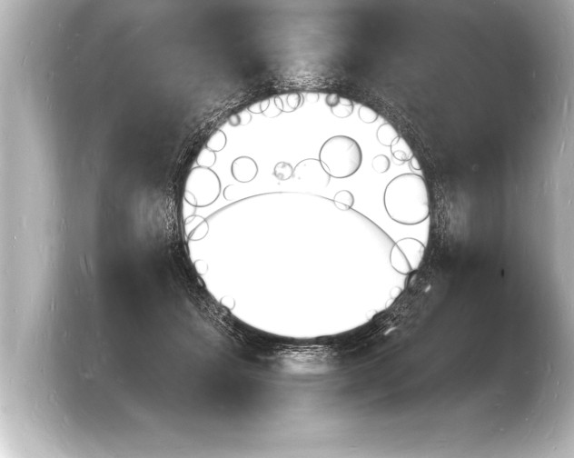 X0000103970459200810031228