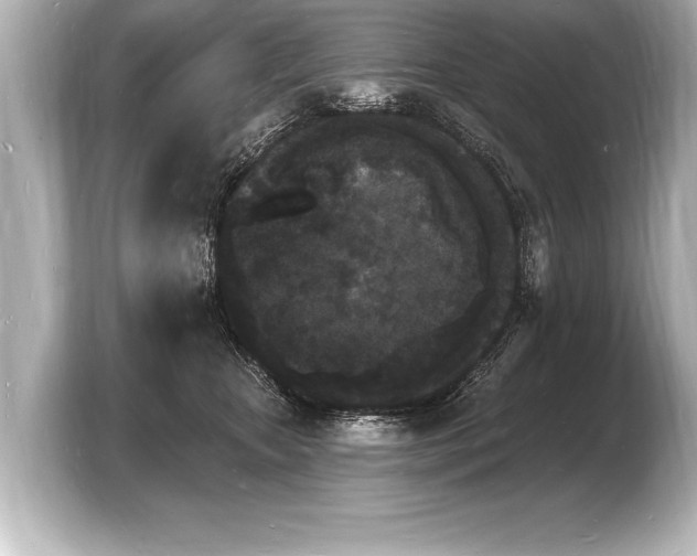 X0000103970467200810031228