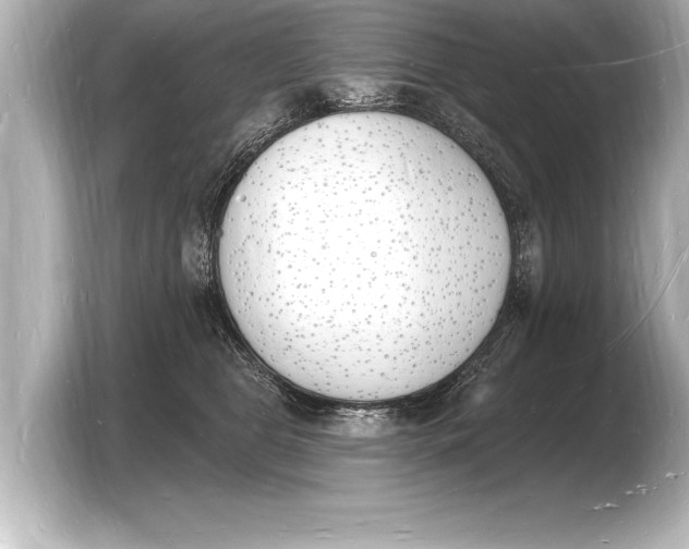 X0000103970469200810031228