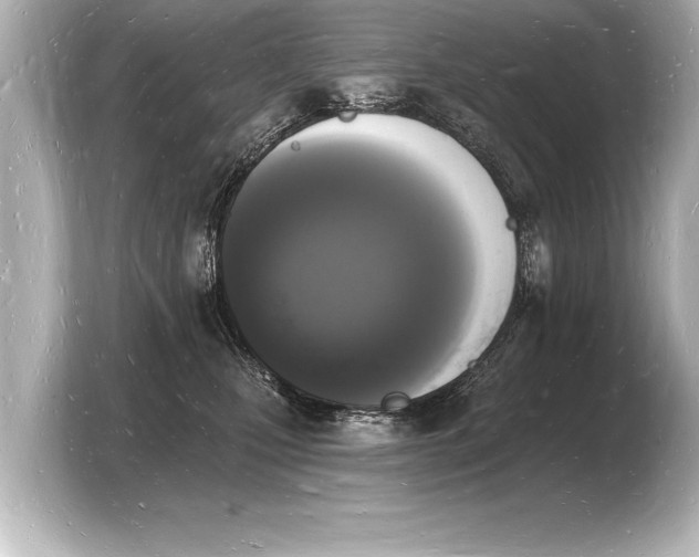 X0000103970471200810031228