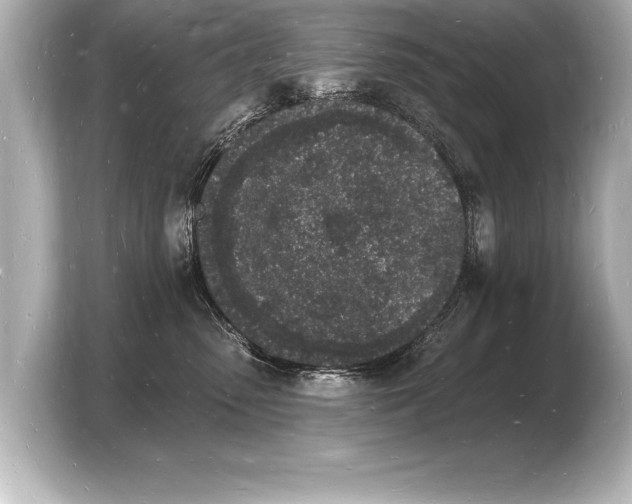 X0000103970475200810031228