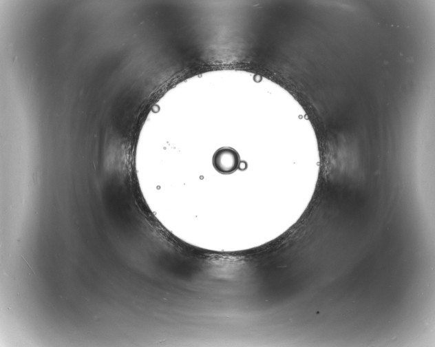 X0000103970476200810031228