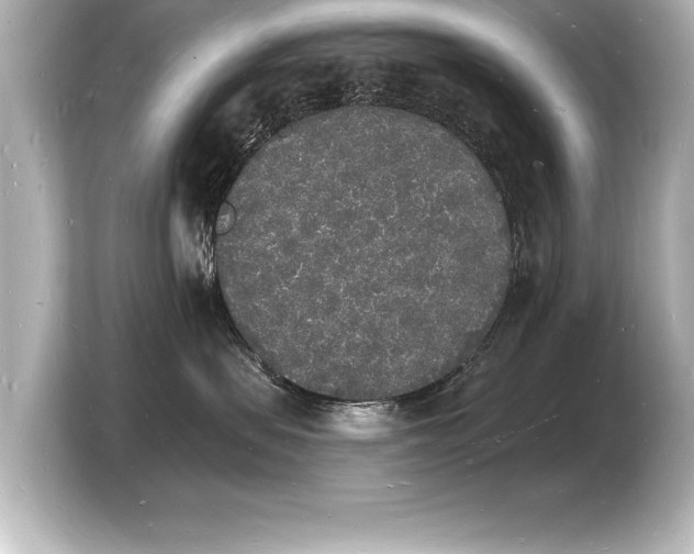 X0000103970479200810031228