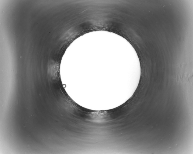 X0000103970480200810031228