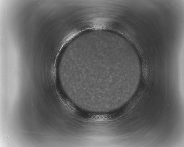 X0000103970488200810031227