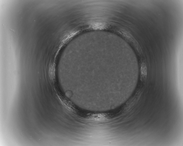 X0000103970492200810031227