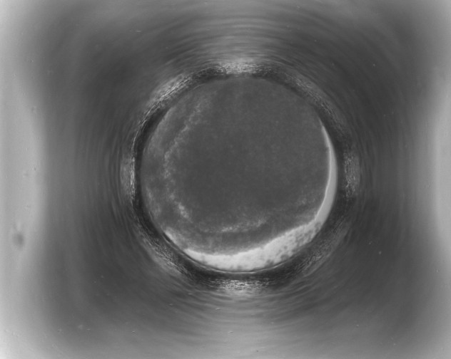 X0000103970494200810031227