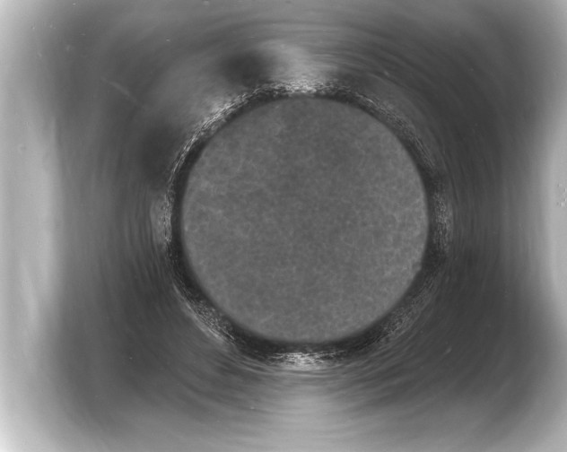 X0000103970496200810031227