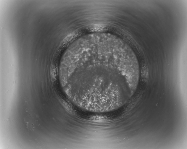 X0000103970503200810031227