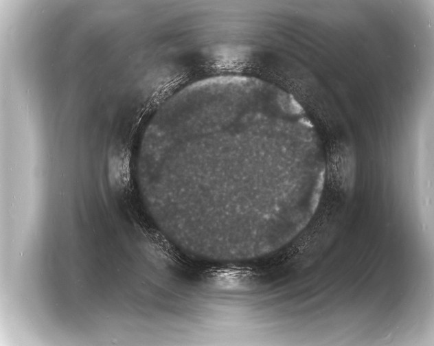 X0000103970504200810031227