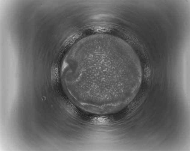 X0000103970506200810031227