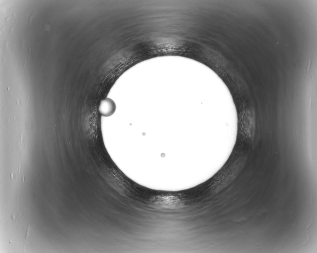 X0000103970509200810031227