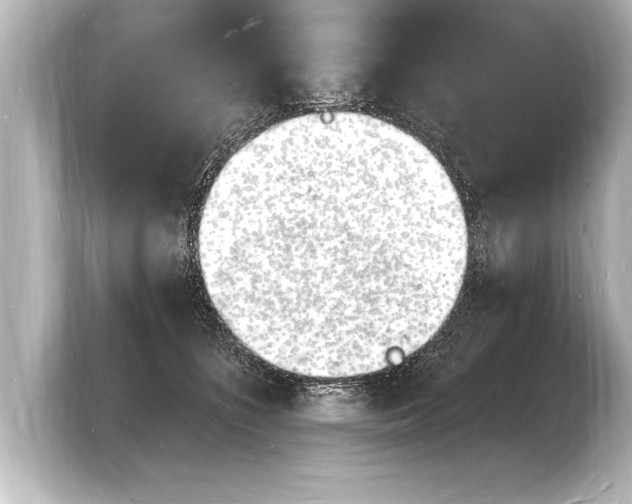 X0000103970516200810031227