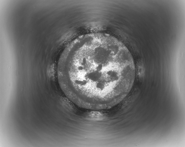 X0000103970519200810031227