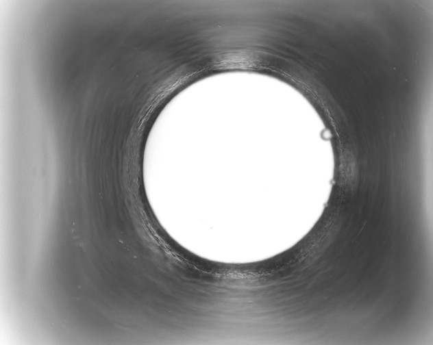 X0000103970529200810031226