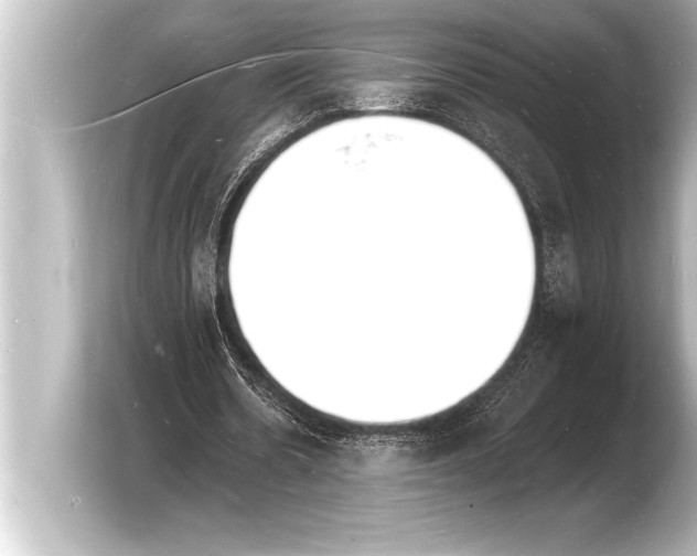 X0000103970530200810031226