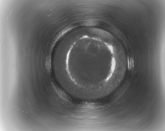 X0000103970531200810031226