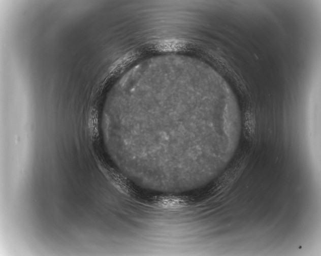 X0000103970547200810031226