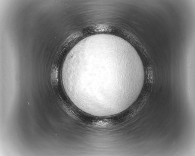 X0000103970550200810031226