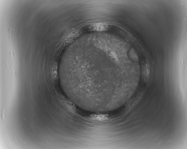 X0000103970553200810031226