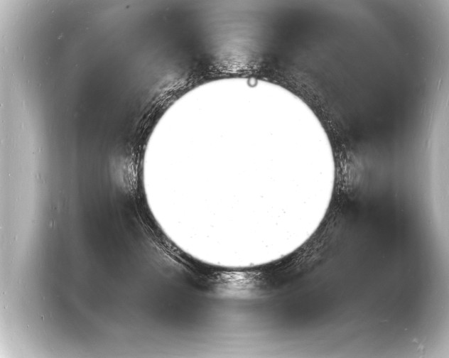 X0000103970558200810031226