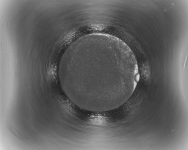 X0000103970559200810031226