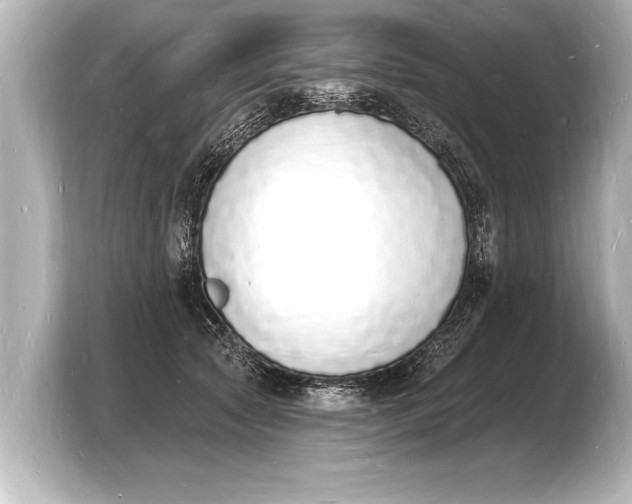 X0000103970561200810031226