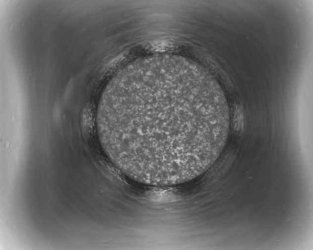 X0000103970569200810031227