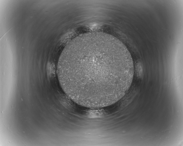 X0000103970571200810031227