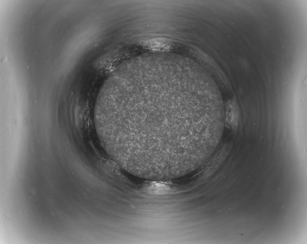 X0000103970573200810031227