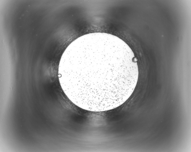 X0000103970576200810031227