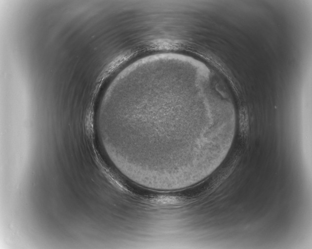 X0000103970581200810031226