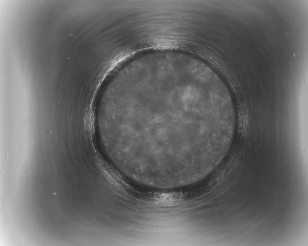 X0000103970584200810031226