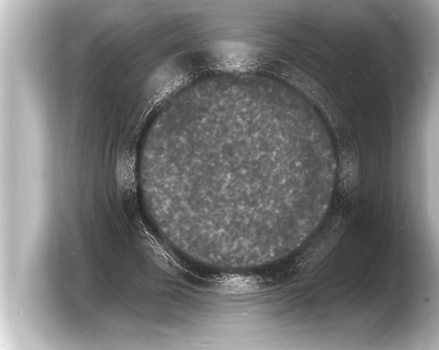 X0000103970585200810031226