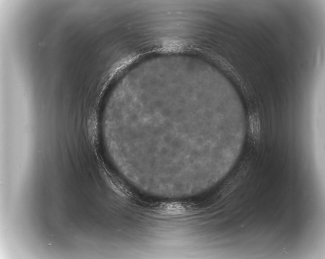 X0000103970588200810031226