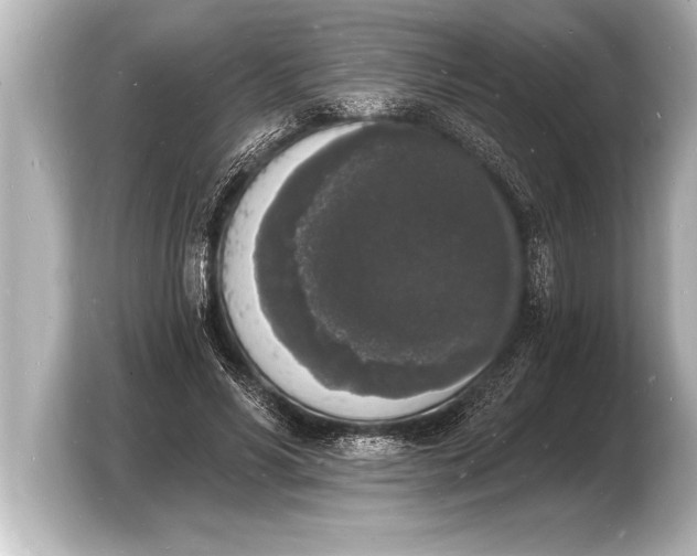 X0000103970590200810031226