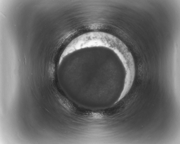 X0000103970592200810031226